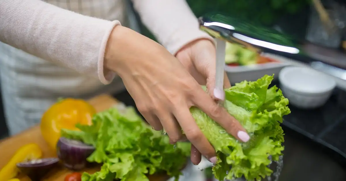 Welke groenten bij gourmet