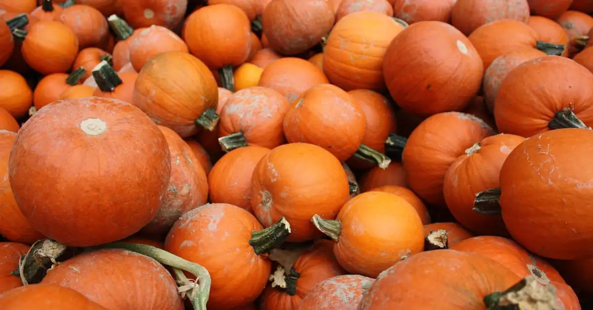 Groenten en fruit kalender