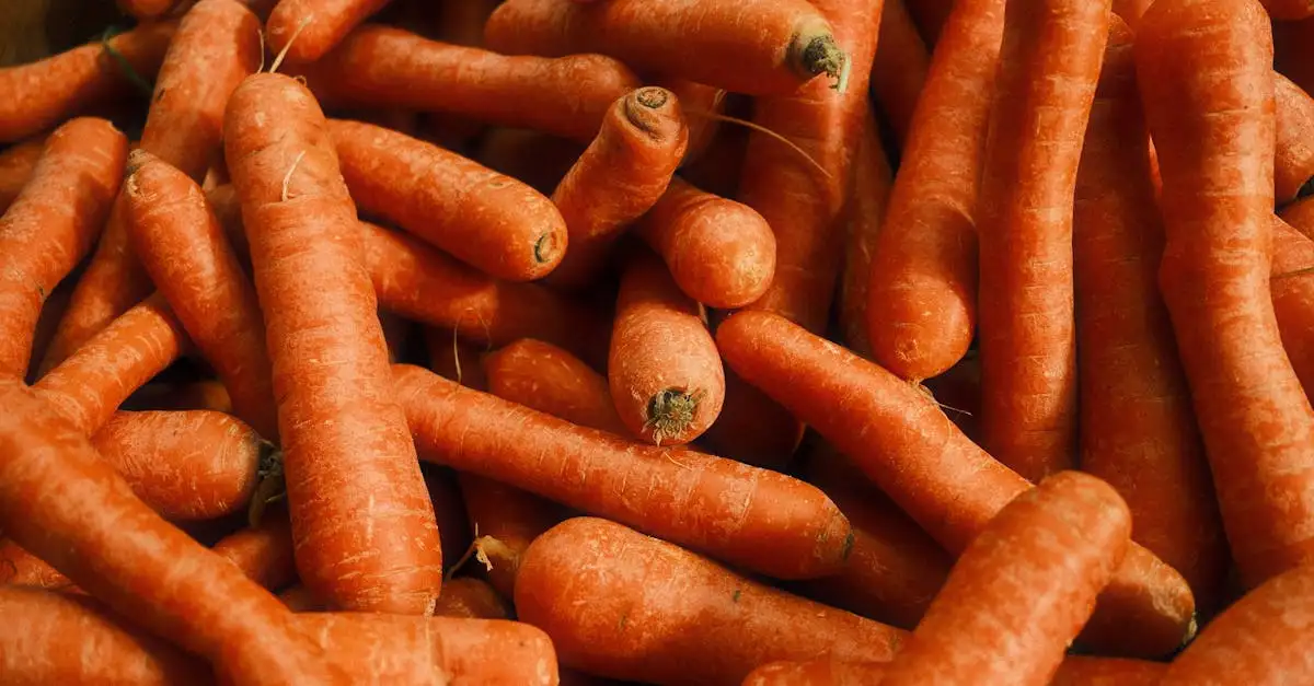 Hoe fermenteer je groenten