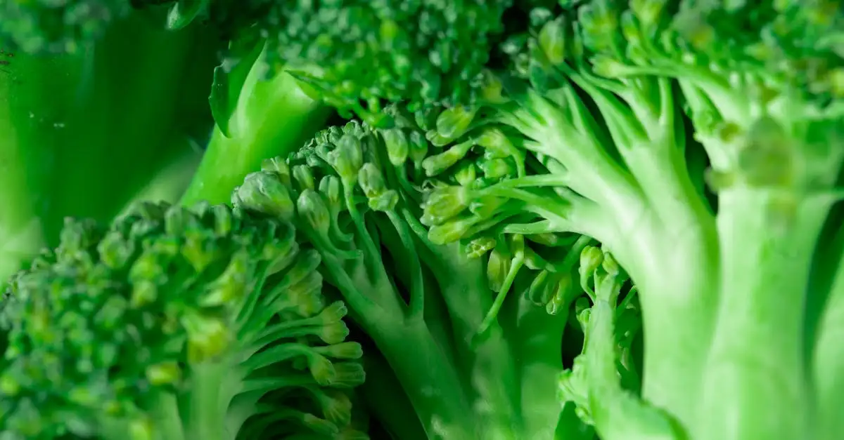 Keto groenten: de beste keuzes voor een koolhydraatarm dieet
