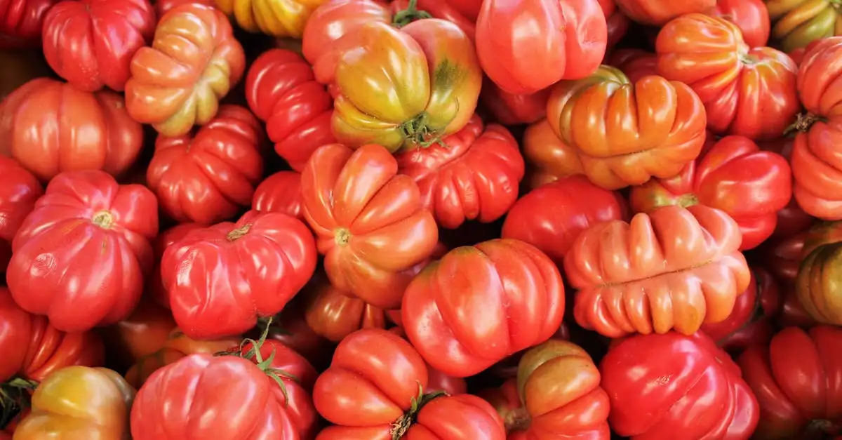 Groenten moestuin