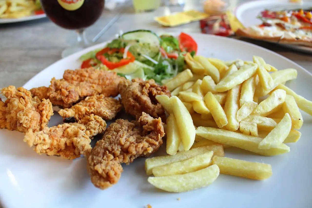 Kip met frietjes en groenten