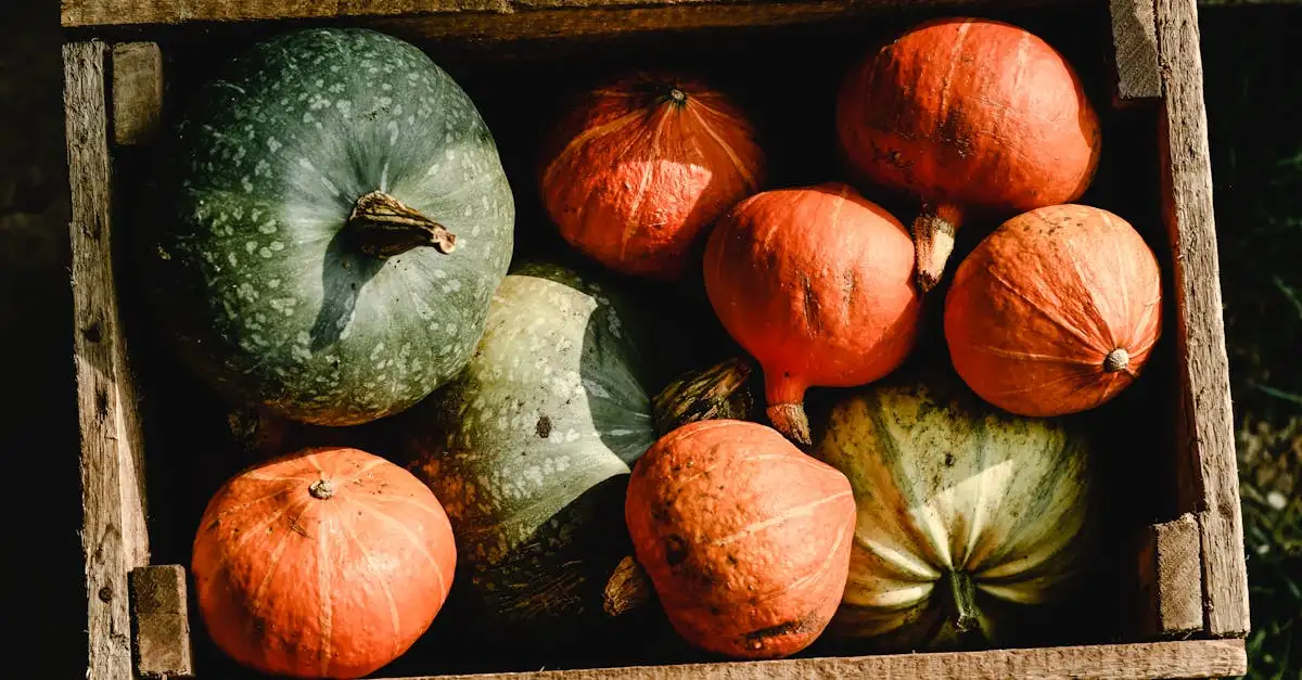Ontdek de lekkerste groenten die je in november kunt oogsten