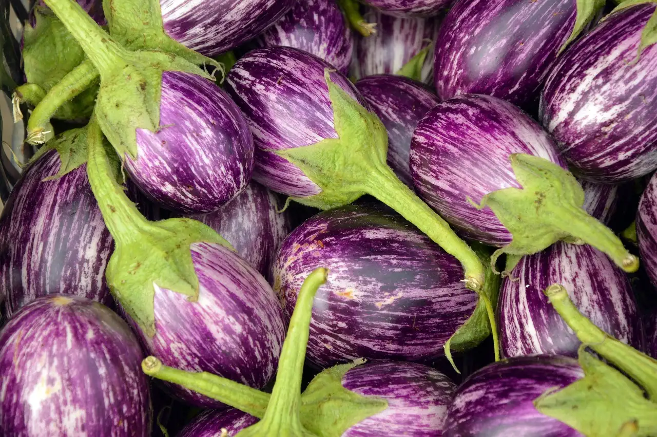 Speciale groenten kopen voor unieke maaltijden