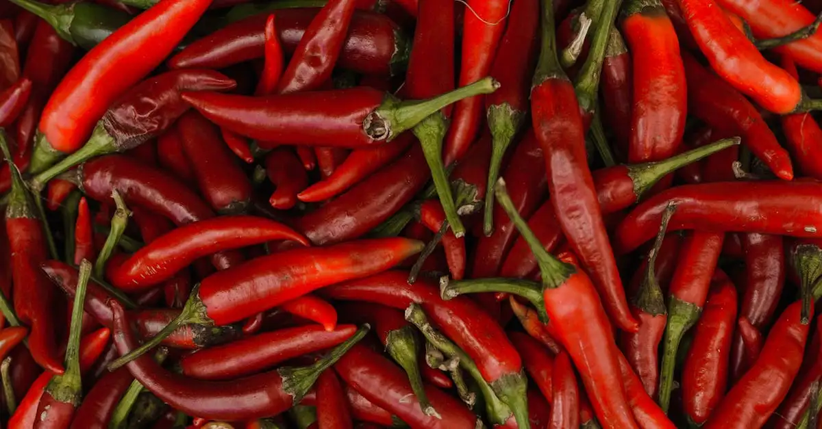 Welke groenten in chili con carne